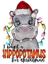 Hippopotamus for Christmas